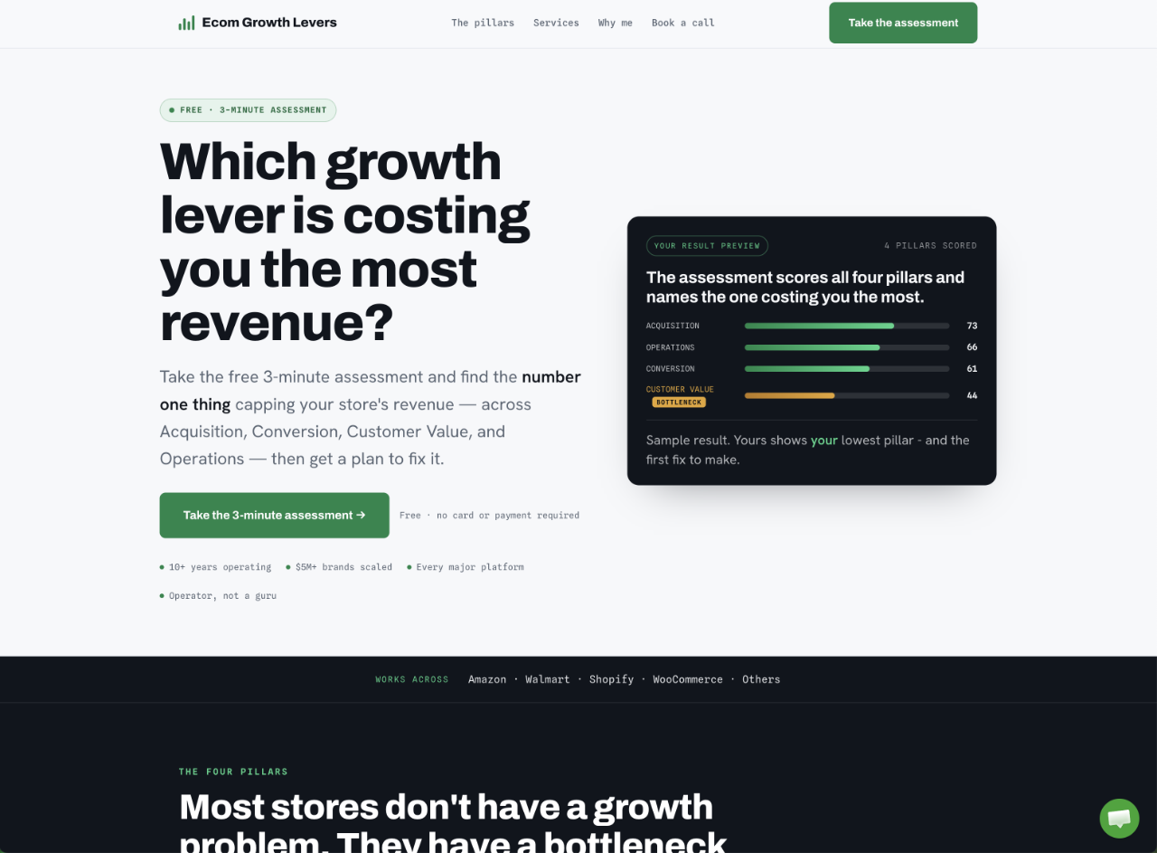 Preview of the Ecom Growth Levers website