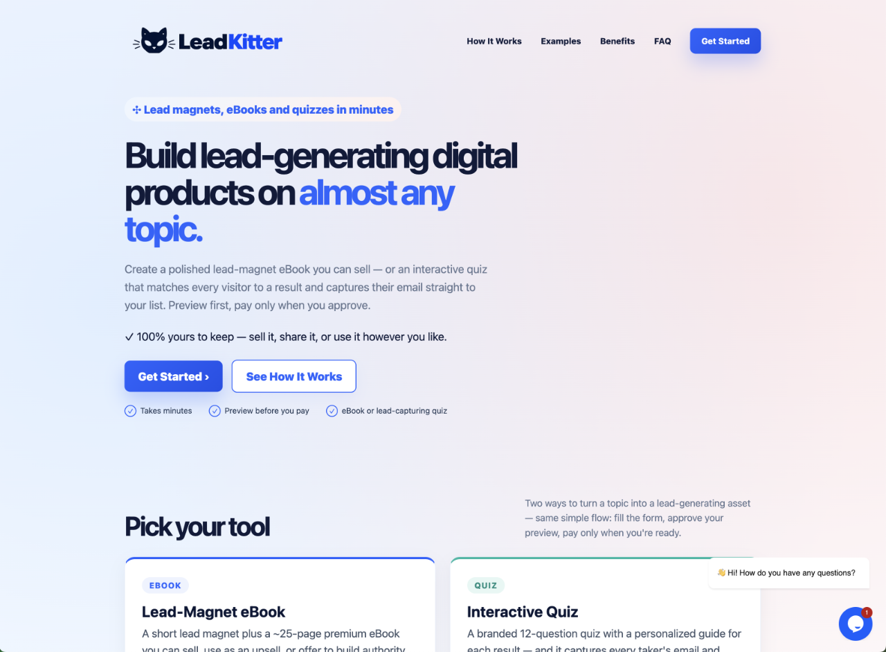Preview of the LeadKitter website
